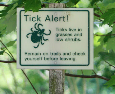 A sign outside in a wooded area warning hikers that ticks are present, with "Tick Alert!"