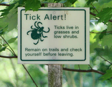 A sign outside in a wooded area warning hikers that ticks are present, with "Tick Alert!"