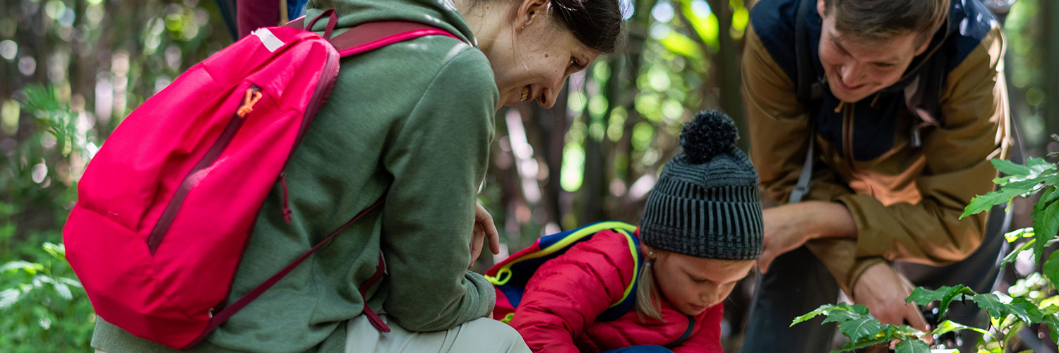 family hiking in the woods stopped to inspect something.