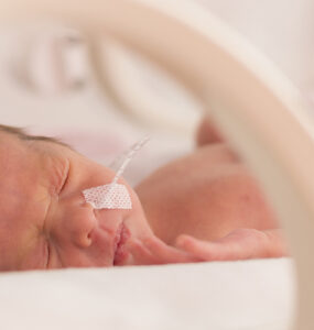 Premature newborn baby girl in the hospital incubator.