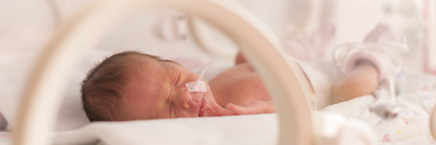 Premature newborn baby girl in the hospital incubator.